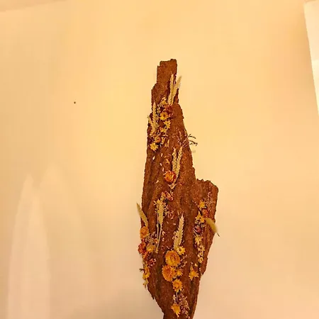 Accogliente Nel Cadore, 30 Min Cortina Apartamento